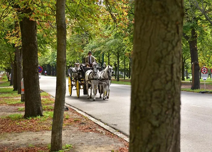Apartmán Herzlich Willkommen - Kuess Hand 3 *